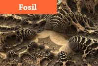 Fosil Adalah